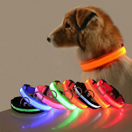Collier LED Rechargeable pour Chien — Sécurité Nocturne, 3 Modes, Waterproof