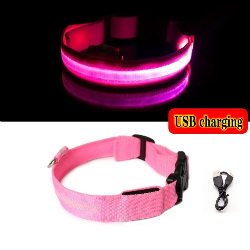 Collier LED Rechargeable pour Chien — Sécurité Nocturne, 3 Modes, Waterproof