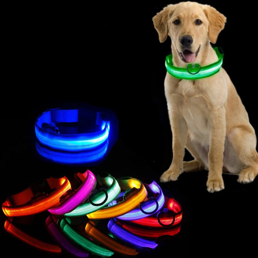 Collier LED Rechargeable pour Chien — Sécurité Nocturne, 3 Modes, Waterproof