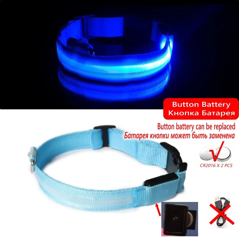 Collier LED Rechargeable pour Chien — Sécurité Nocturne, 3 Modes, Waterproof