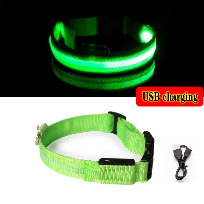 Collier LED Rechargeable pour Chien — Sécurité Nocturne, 3 Modes, Waterproof