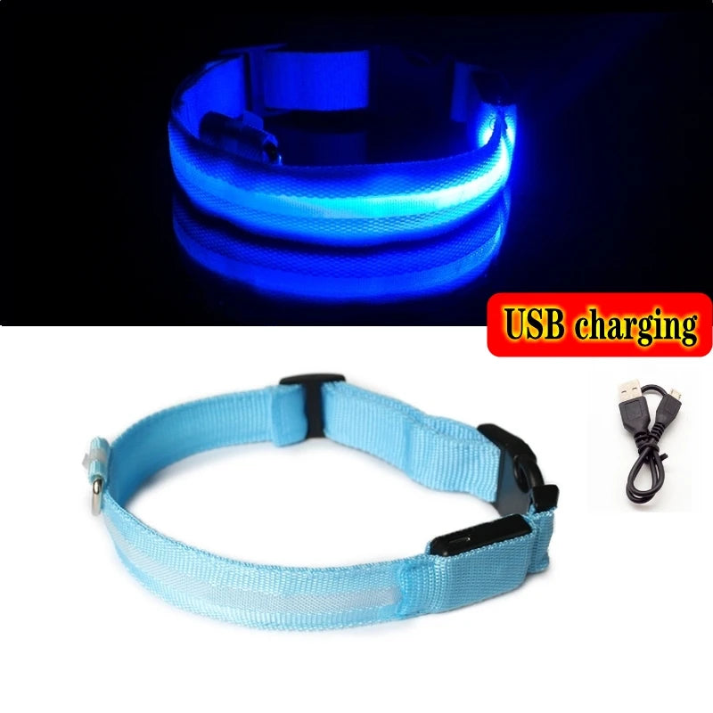 Collier LED Rechargeable pour Chien — Sécurité Nocturne, 3 Modes, Waterproof